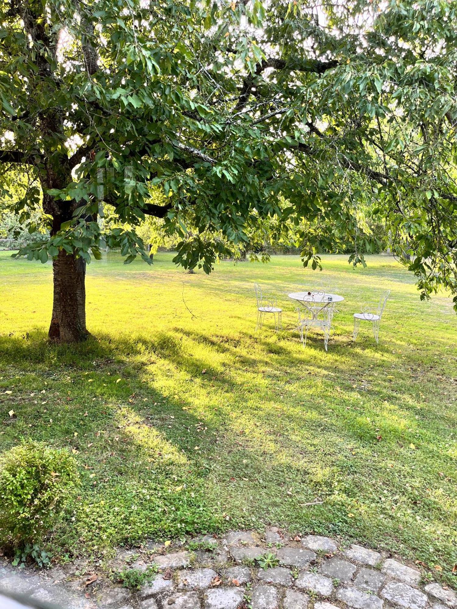 La Vieille Bouverie Savennieres Extérieur photo